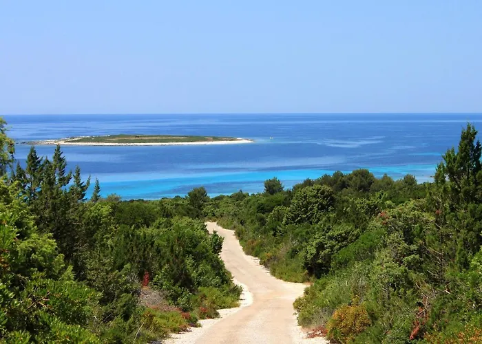 Апартаменты By The Sea Savar, Dugi Otok - 11540